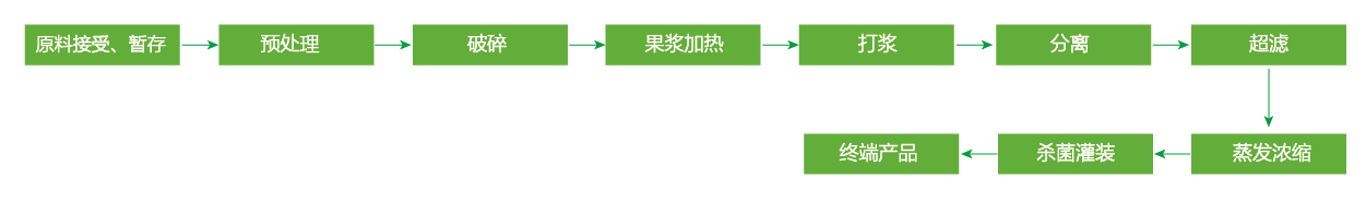 蓝莓、草莓、桑葚浓缩汁